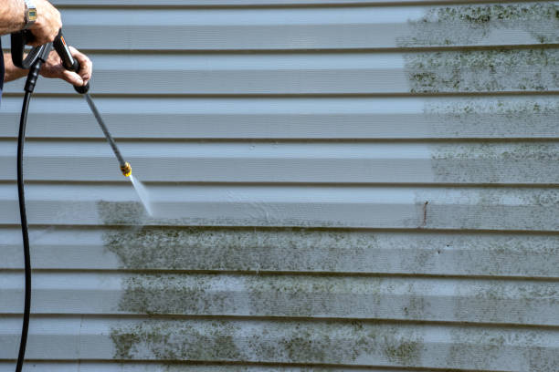 Best Hoarding Cleanup  in South Chicago Heights, IL