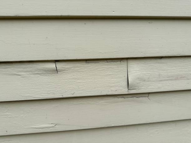 Best Shed Removal  in South Chicago Heights, IL